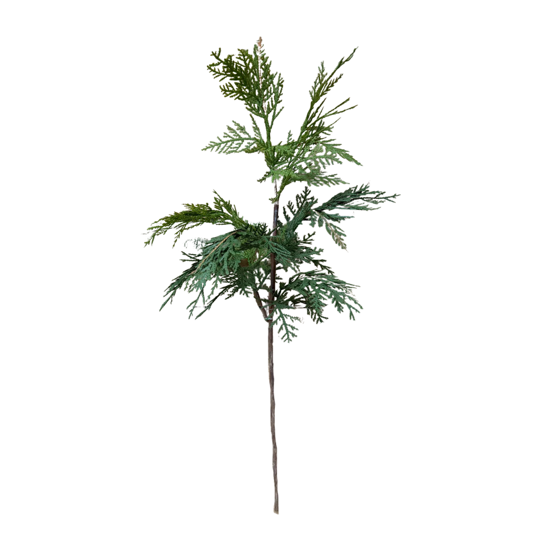 WHITE CEDAR | STEM L