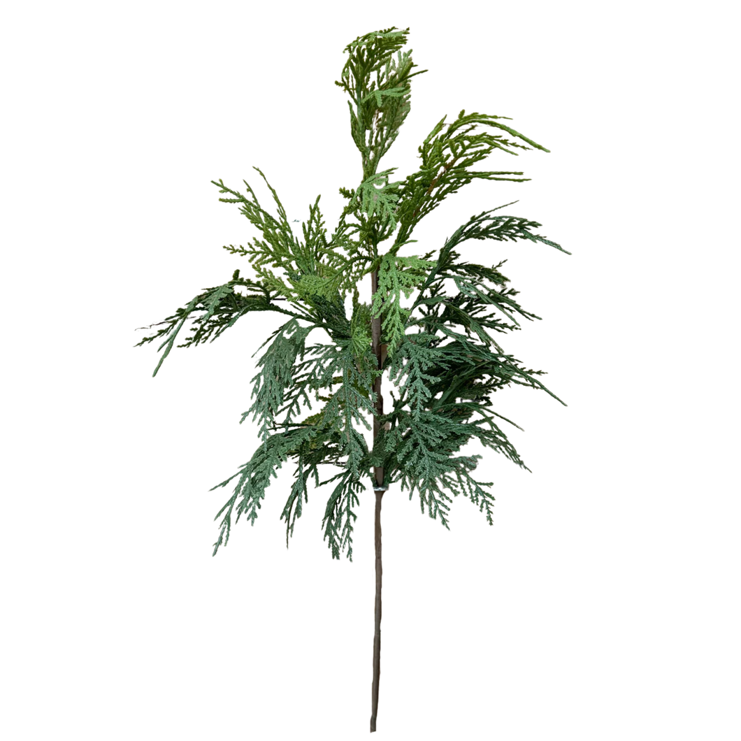 WHITE CEDAR | STEM M