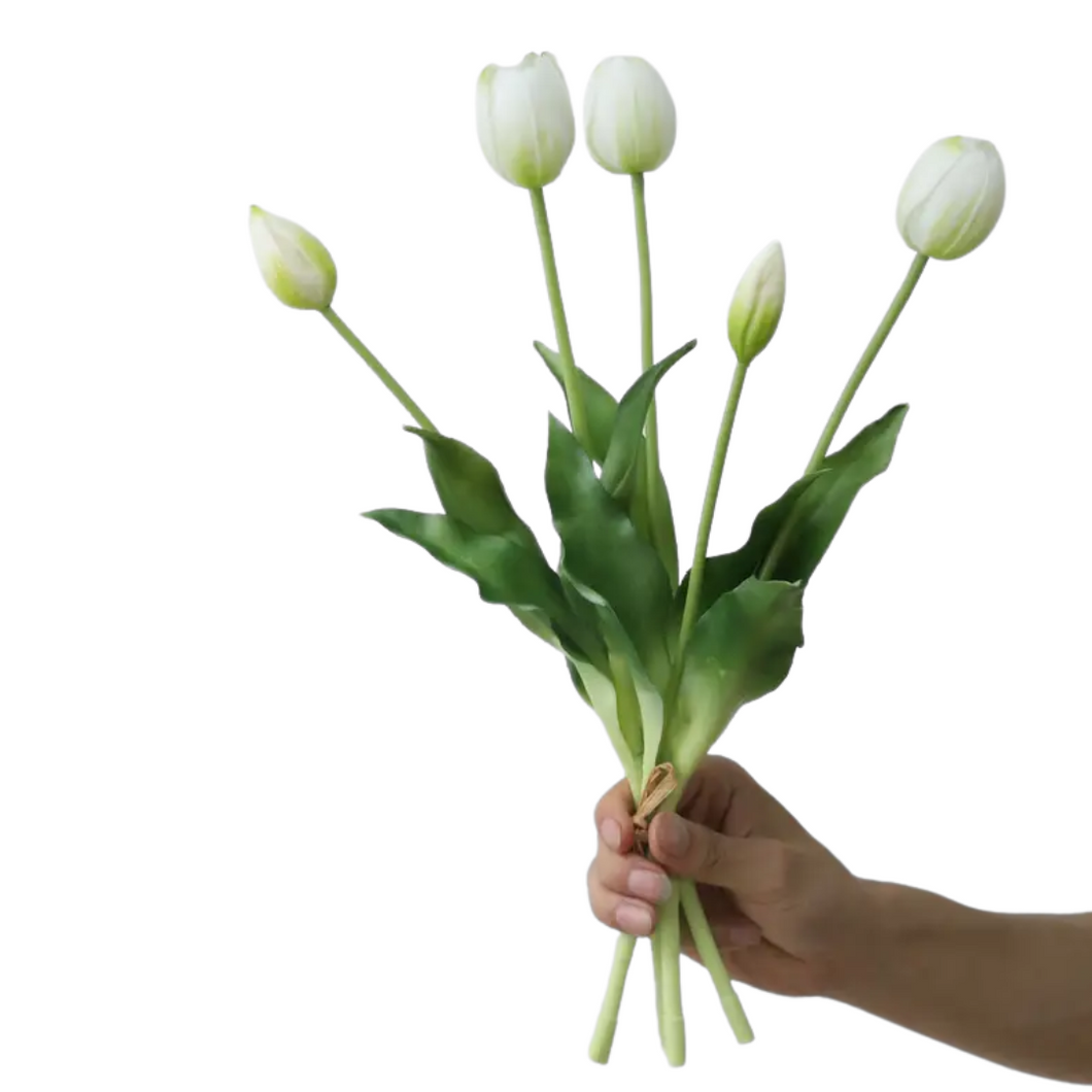 TULIPS | WHITE