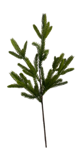 GREEN SPRUCE | STEM L