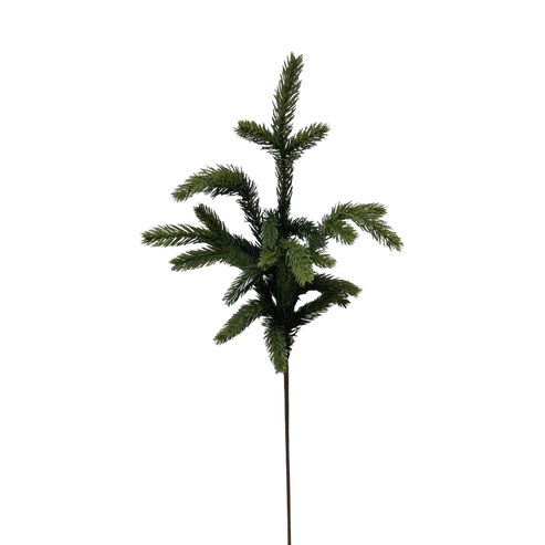 SPRUCE | STEM