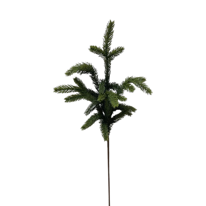 SPRUCE | STEM