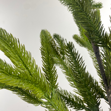 Load image into Gallery viewer, GREEN SPRUCE | STEM L
