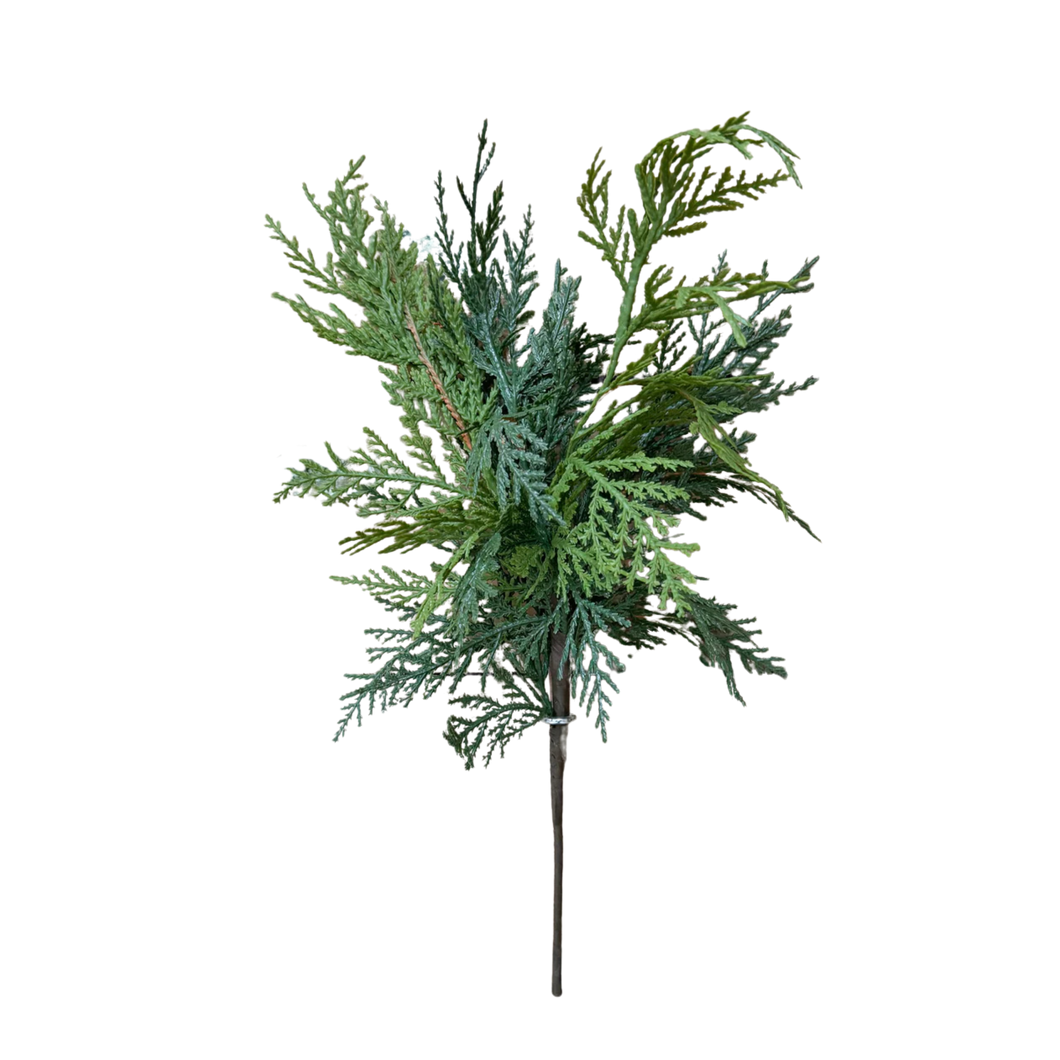 WHITE CEDAR | STEM SM