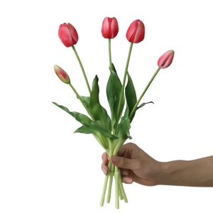 TULIPS | ROSE PINK