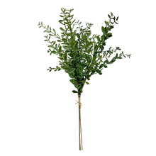 Load image into Gallery viewer, TEA LEAF | BUNDLE
