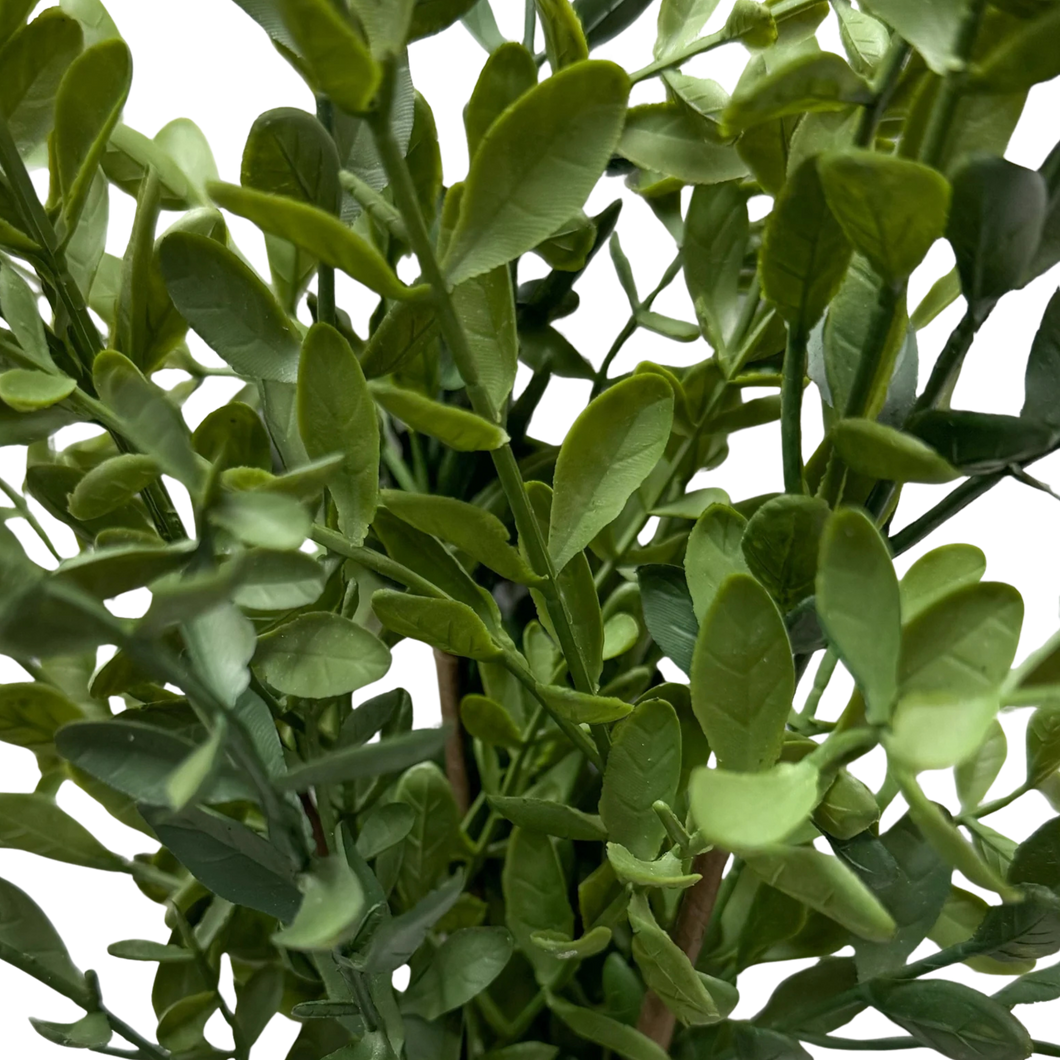 TEA LEAF |  BUSH