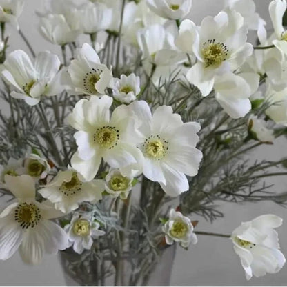 Floral | Cosmo White
