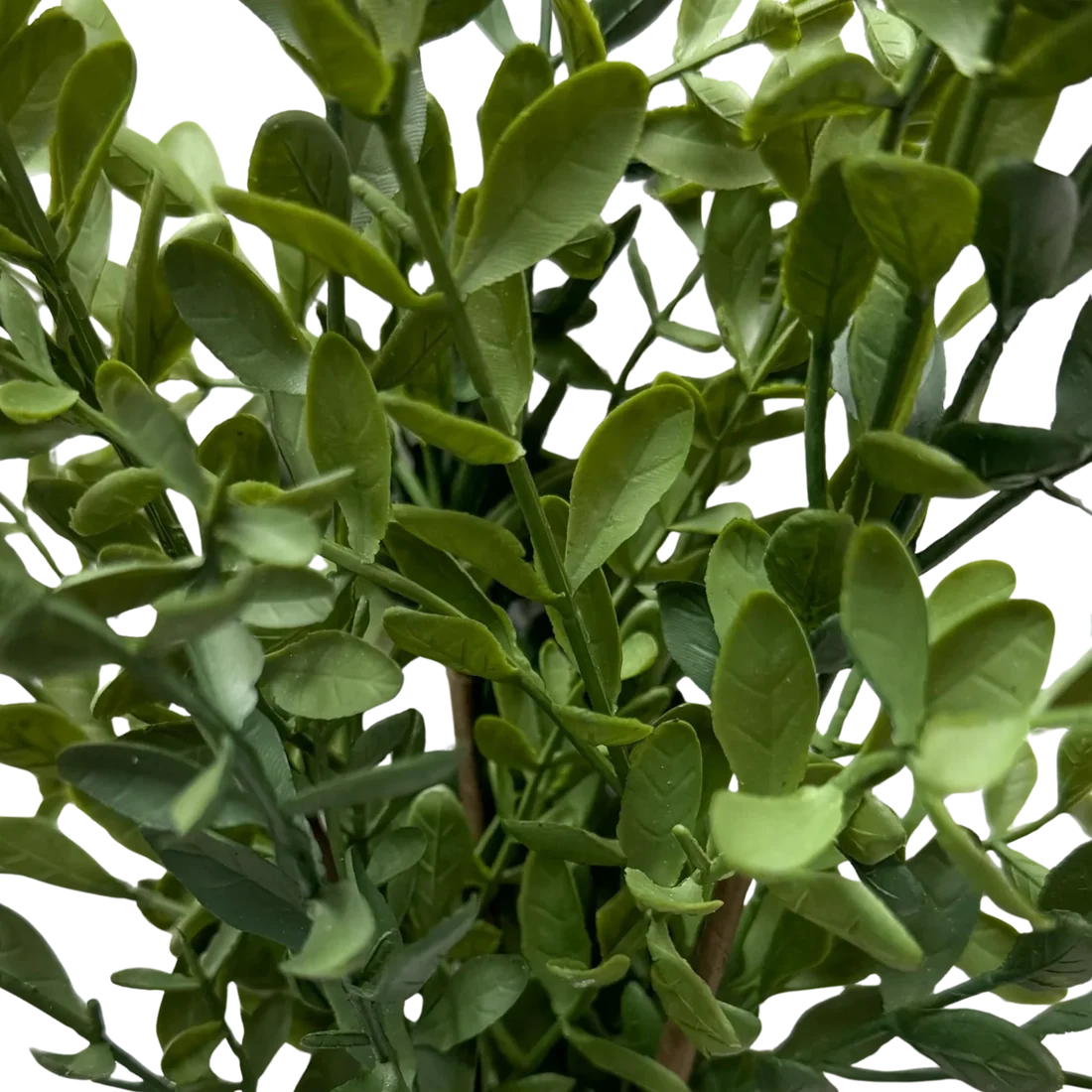 Tea Leaf 28"