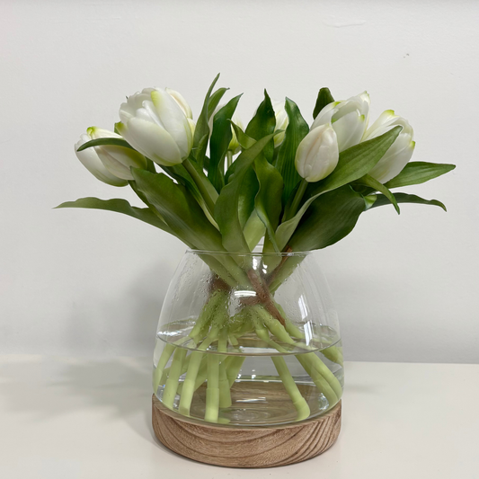 TULIPS | PIXIE WHITE