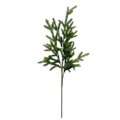 SPRUCE | STEM