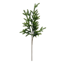 Load image into Gallery viewer, SPRUCE | BRANCH
