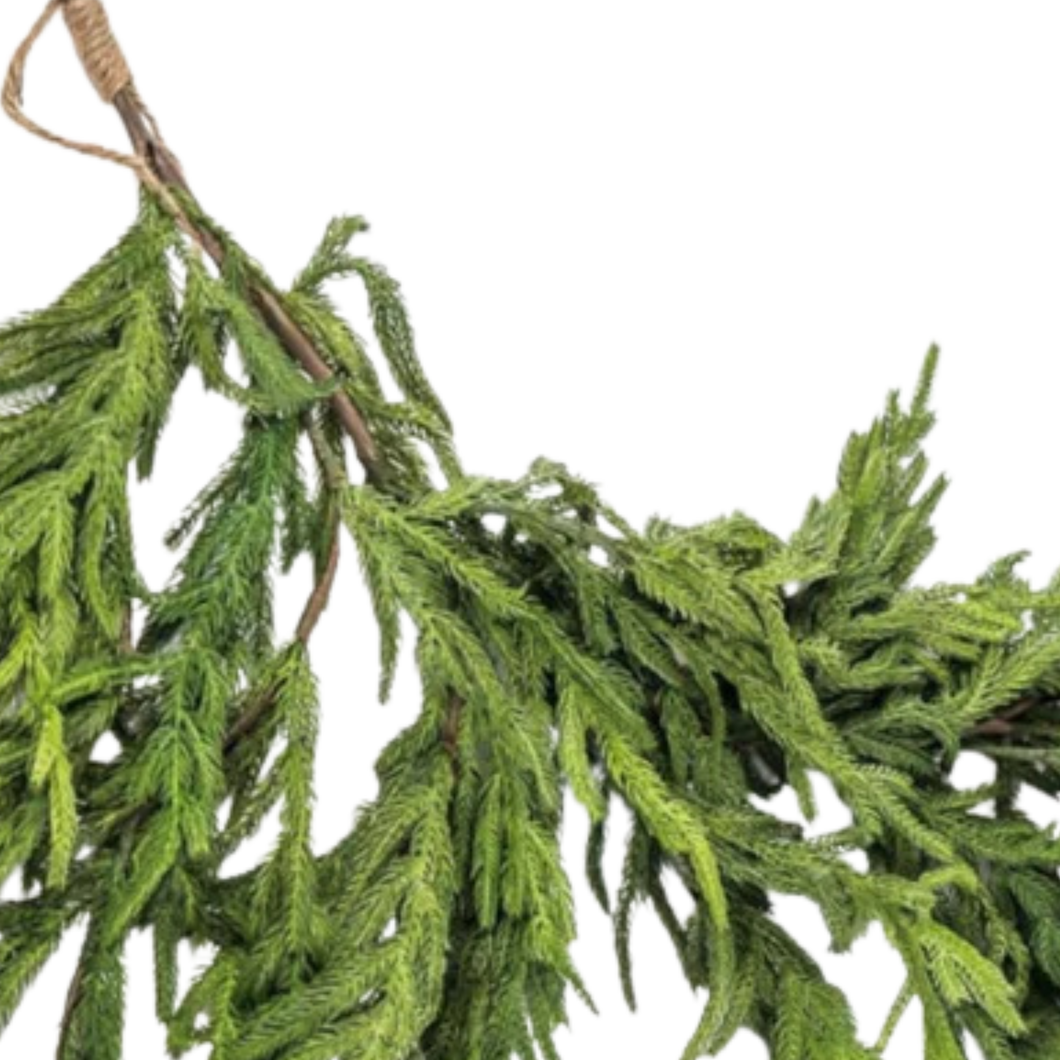 NORFOLK DRIP | 3.5FT