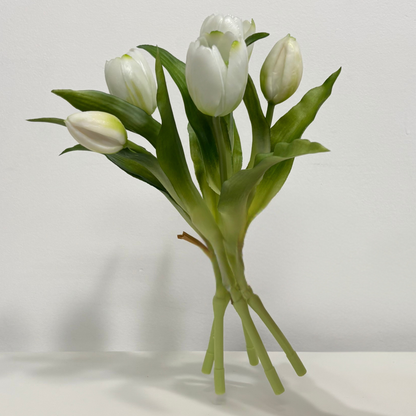 TULIPS | PIXIE WHITE