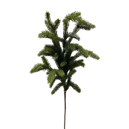 SPRUCE | STEM
