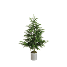 Load image into Gallery viewer, NORFOLK PINE | 48&quot; TREE
