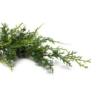 JUNIPER BERRY | STEM SM