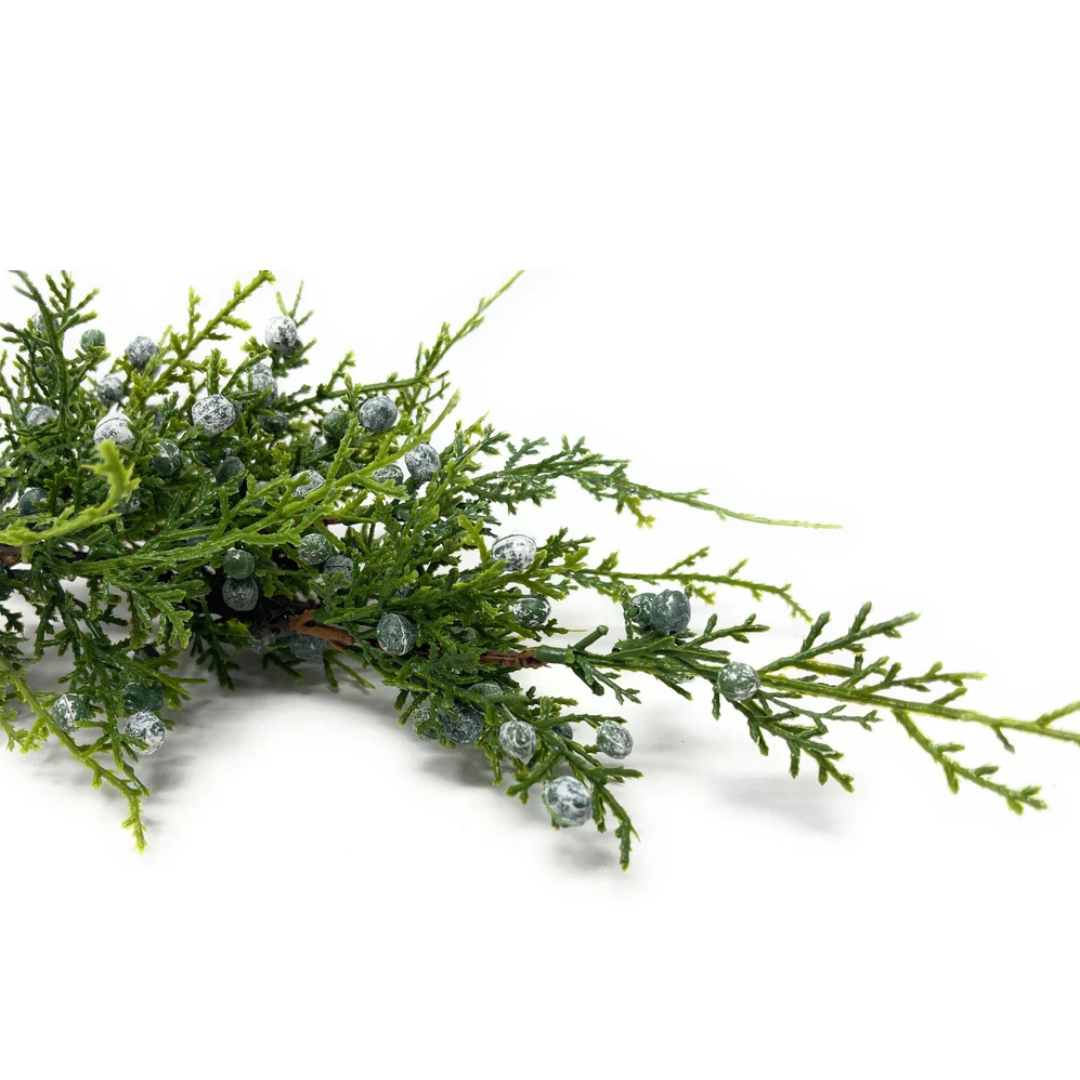 JUNIPER BERRY | STEM
