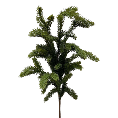 SPRUCE | STEM
