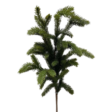 Load image into Gallery viewer, SPRUCE | BRANCH
