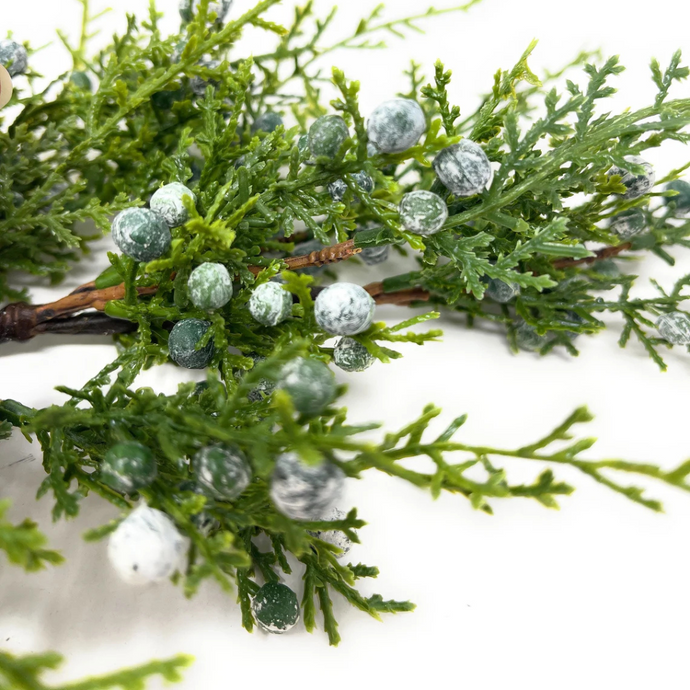 JUNIPER BERRY | STEM SM