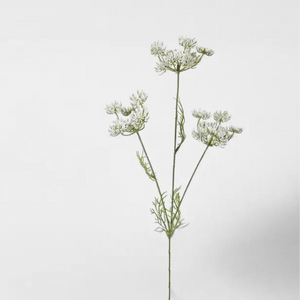 QUEEN ANNE'S LACE | WHITE STEM