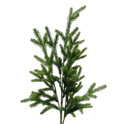 SPRUCE | STEM