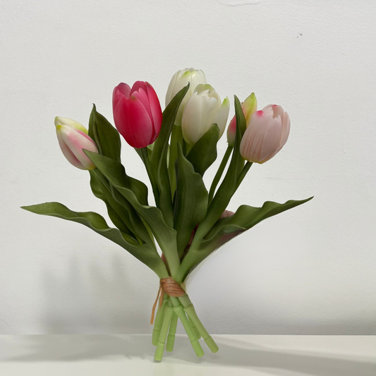 TULIPS | PIXIE MULTI