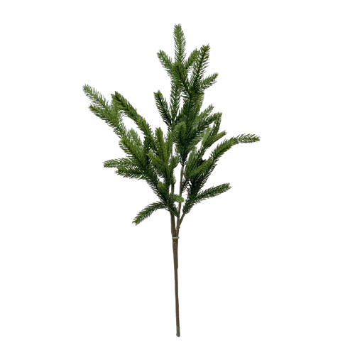 SPRUCE | STEM