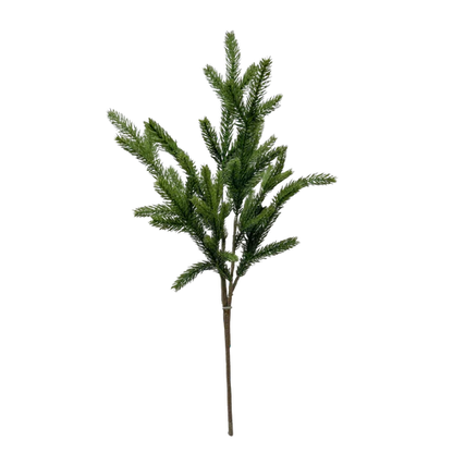 SPRUCE | STEM