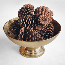 Load image into Gallery viewer, LARGE PINE CONE
