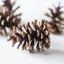 Load image into Gallery viewer, LARGE PINE CONE
