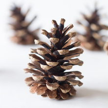 Load image into Gallery viewer, LARGE PINE CONE
