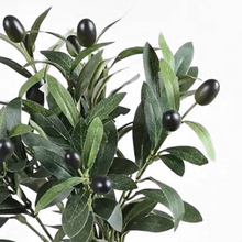 Load image into Gallery viewer, OLIVE LEAF | STEM
