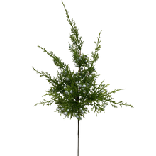 Load image into Gallery viewer, JUNIPER | STEM SM
