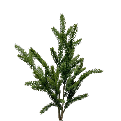 SPRUCE | STEM