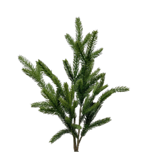 Load image into Gallery viewer, SPRUCE | STEM M
