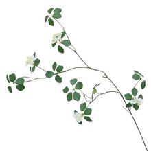 Load image into Gallery viewer, GREEN LEAF | WHITE BLOOM
