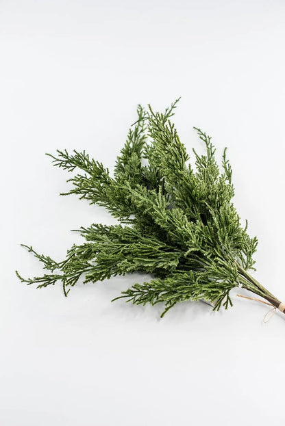 JUNIPER PINE | STEM