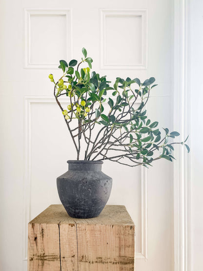 Senna Terracotta Vase – Flared Neck, Charcoal Finish