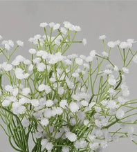 Load image into Gallery viewer, BABYS BREATH | STEM
