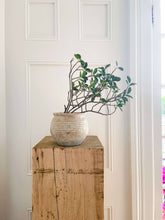 Load image into Gallery viewer, Lazio Rustic Vintage-Style Terracotta Pot with Aged Look
