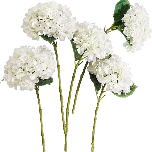 WHITE HYDRANGEA