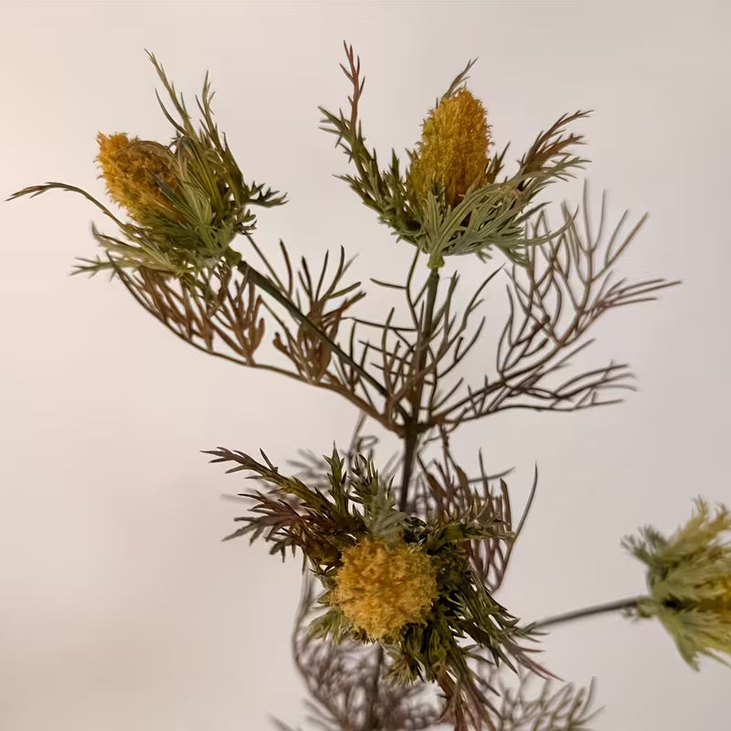 Yellow Holly Berry Stem