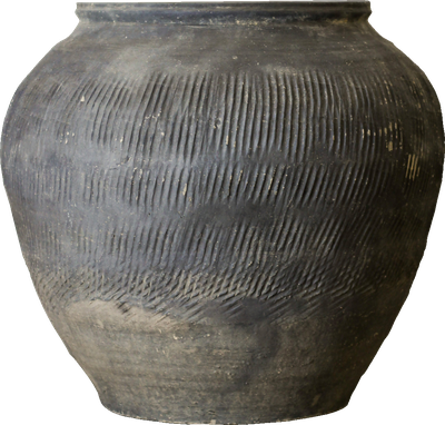 Xilas