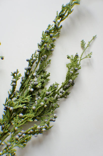JUNIPER BERRY | STEM LRG