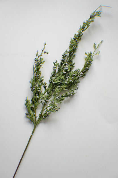 JUNIPER BERRY | STEM LRG
