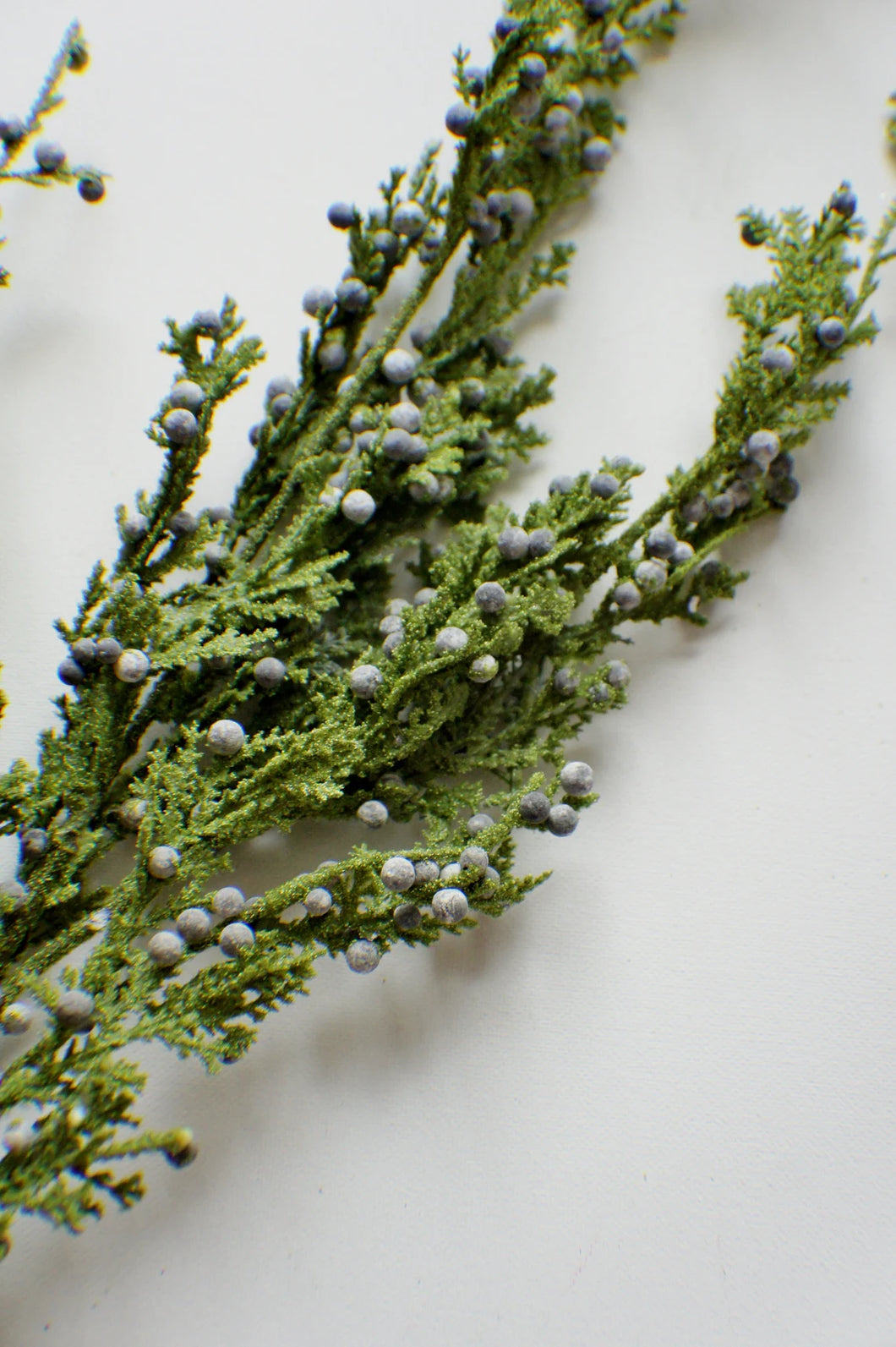 JUNIPER BERRY | STEM LRG