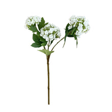 Load image into Gallery viewer, WHITE HYDRANGEA | STEM
