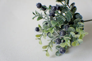 EUCALYPTUS BLUE | PICK